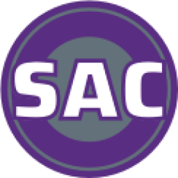 国王队