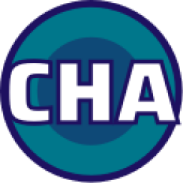 黄蜂队